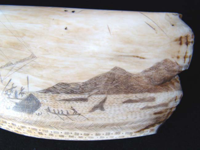 A large scrimshawed Sperm Whale's Tooth depicting a Whaling hunt off the 'Feegee' Islands. — image 2